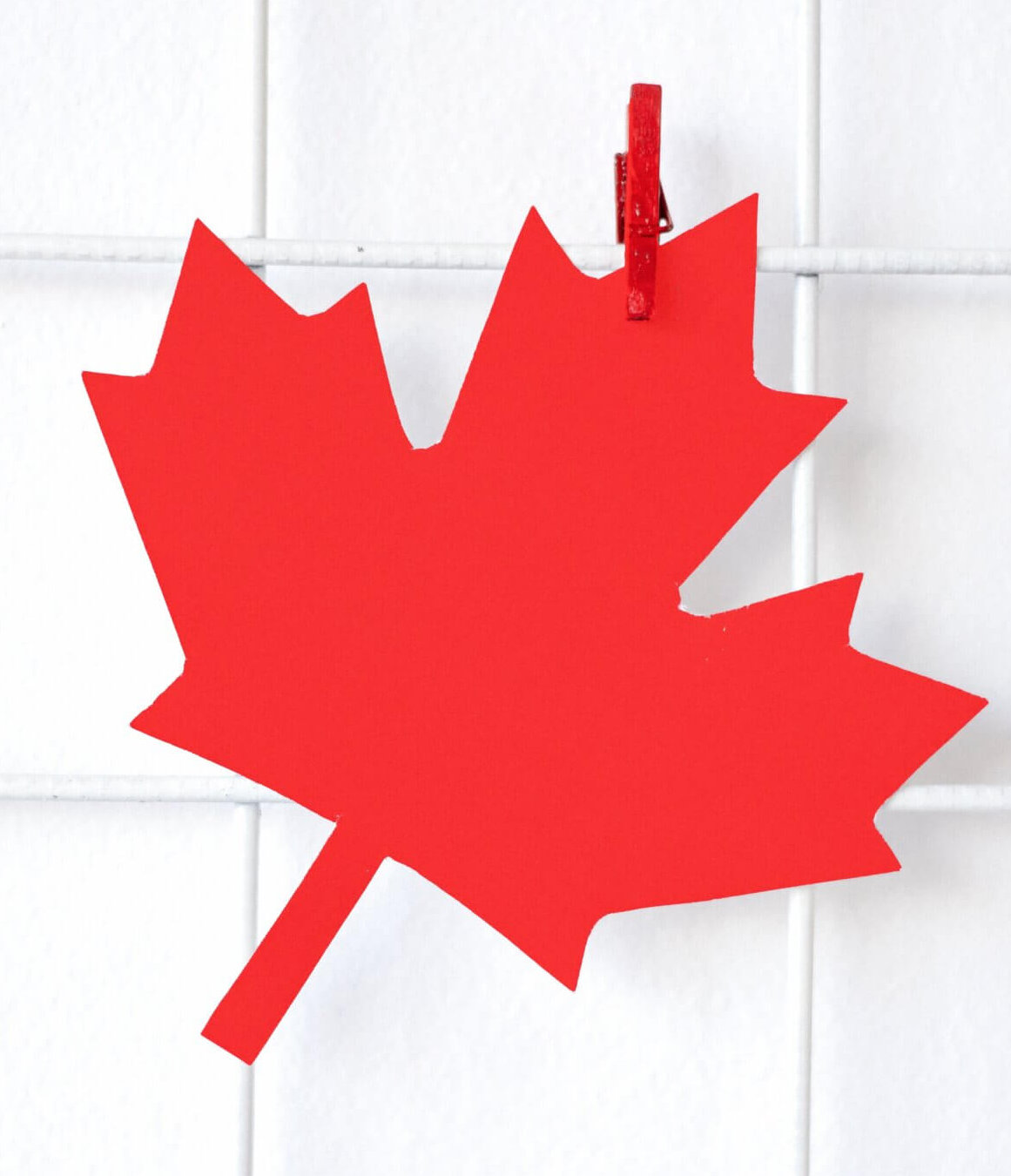 maples leaf on grid